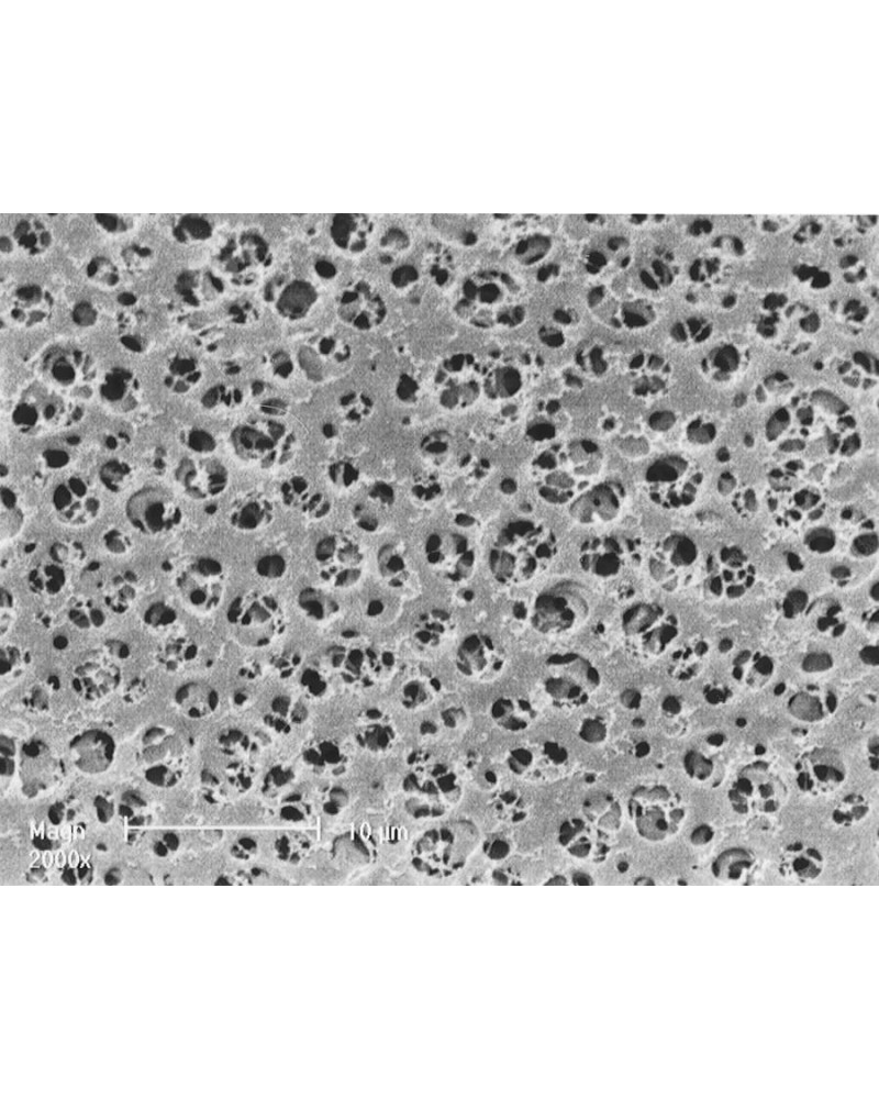 Membrane filtrantes, Acétate de cellulose, type 111, Dia: 47 mm