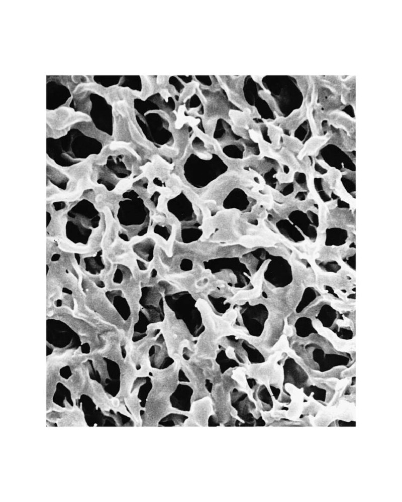 Membranes filtrantes, polyamide, type 250, Dia: 25 mm