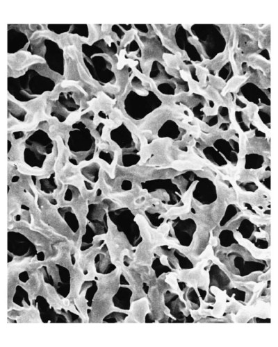 Membranes filtrantes, polyamide, type 250, Dia: 25mm
