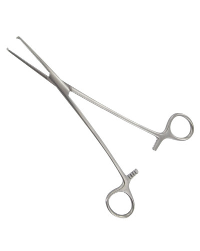 Pince de BENGOLEA, droite avec griffe, 20 cm