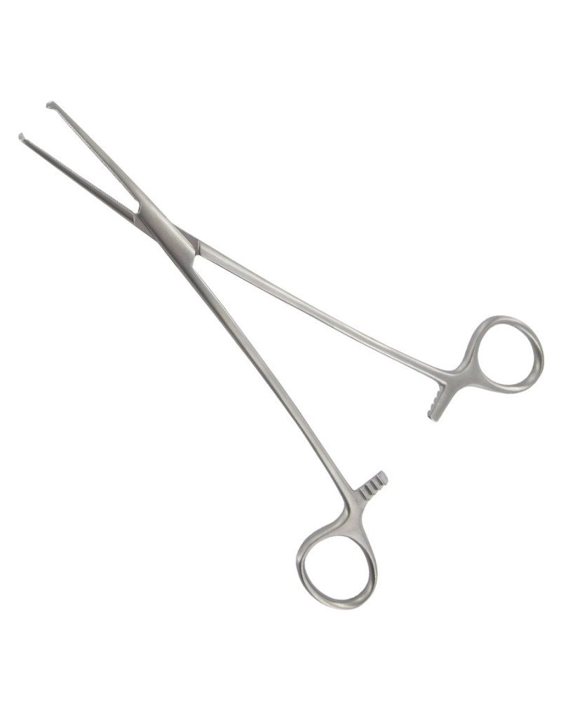 Pince de BENGOLEA, droite avec griffe, 20 cm