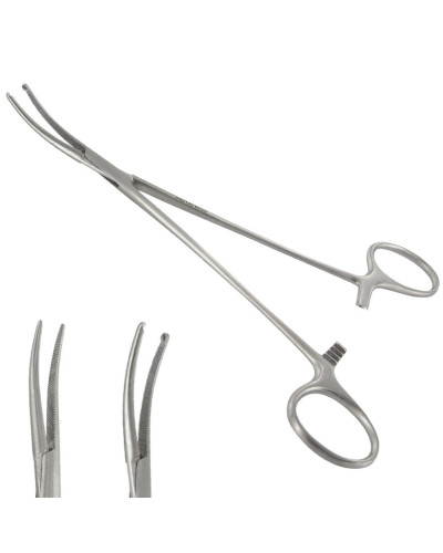 Pince de BENGOLEA, courbe avec griffe, 25 cm