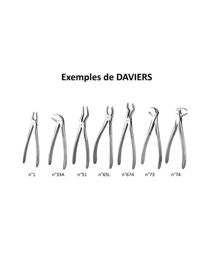 Davier dentaire, adulte, N°73