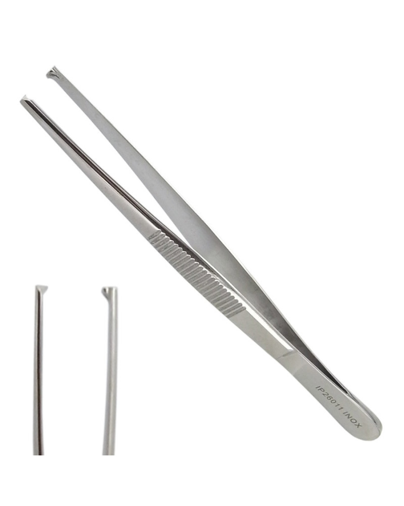 Pince à disséquer, avec griffe, 13 cm