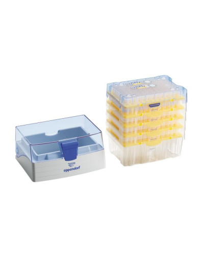 Cônes eppendorf ep tips: 50 - 1250µl