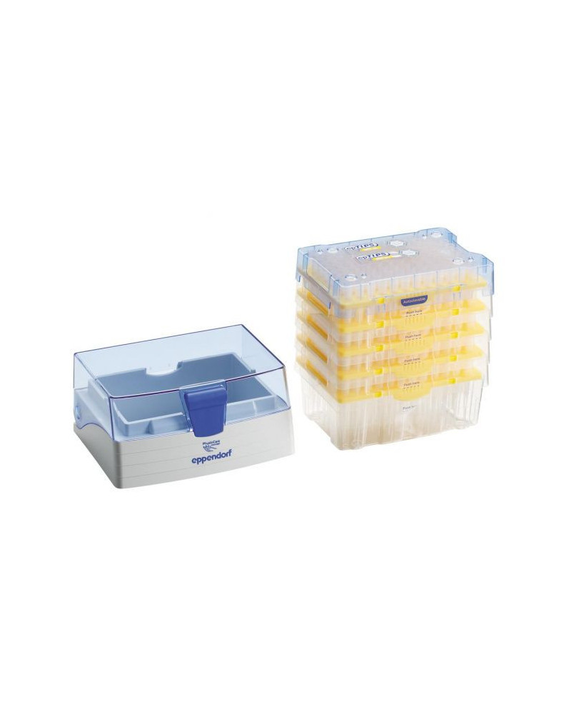 Cônes eppendorf ep tips: 20 - 300µl