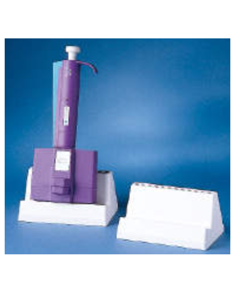 Portoir pour une finnpipette multicanaux