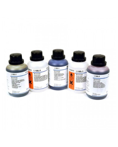 Kit TB color, solution décolorante (recharge)