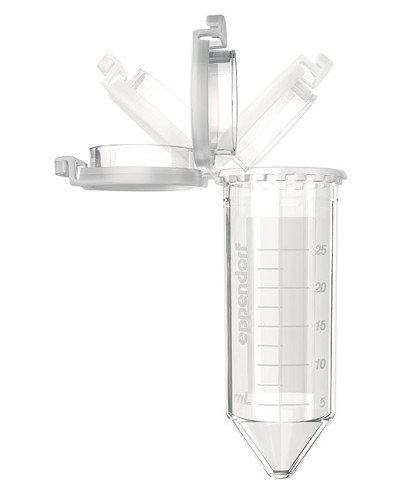 Cupule pp fond conique, cape attenante