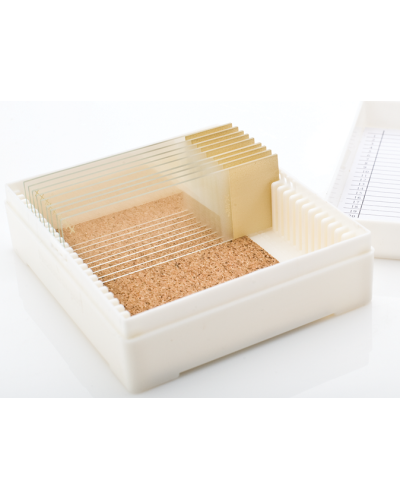 Boîtes de stockage pour 25 lames