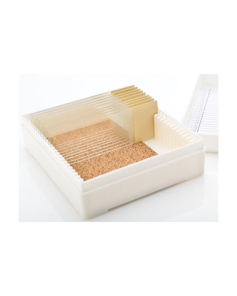 Boîtes de stockage pour 25 lames