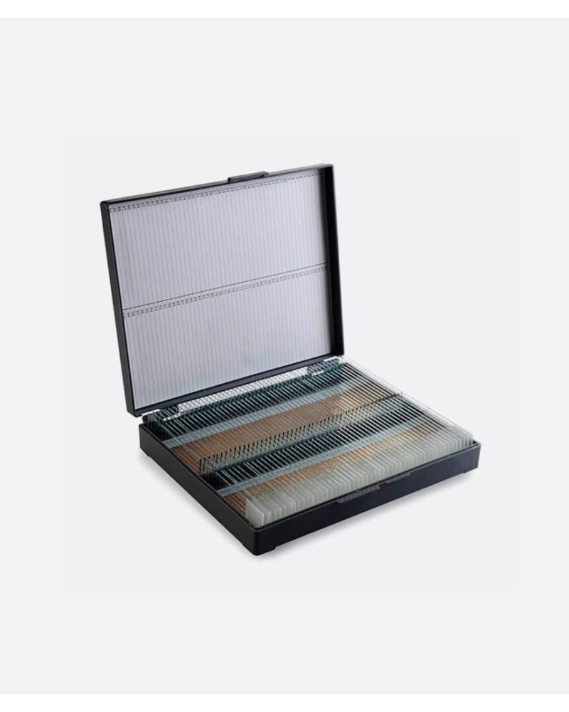 Coffrets de rangement en carton rigide plastifié, 100 lames