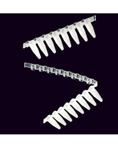 Barrette de 8 capes pour real time pcr