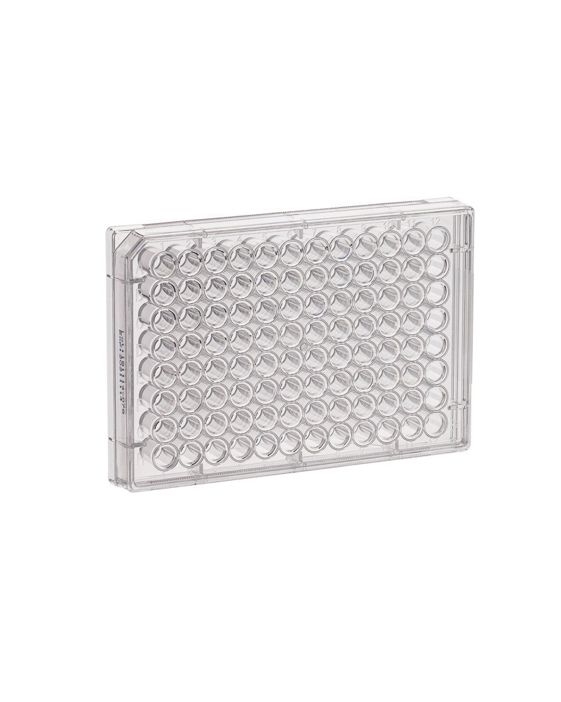 Plaques multiputs pour culture cellulaire, 96 puits