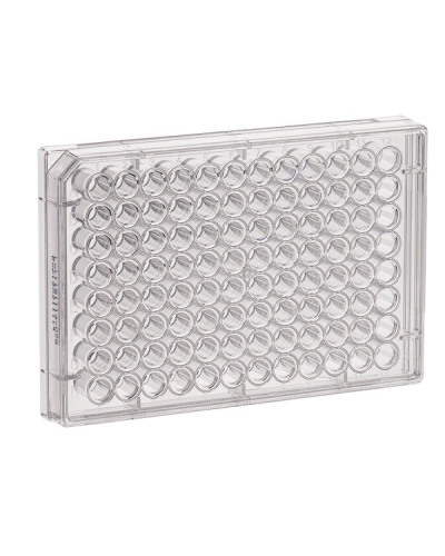 Plaques multiputs pour culture cellulaire, 96 puits