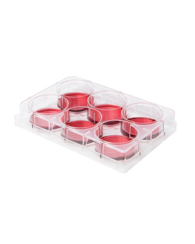 Plaques multiputs pour culture cellulaire, 6 puits