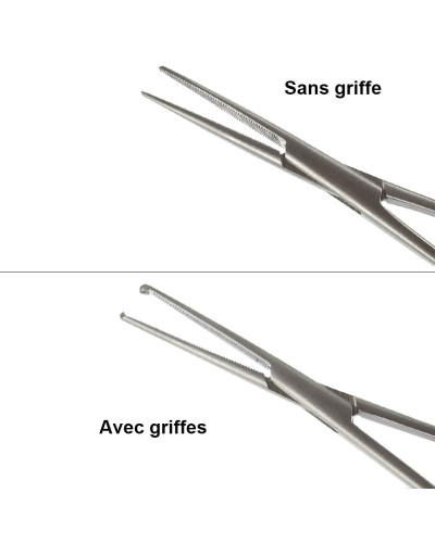 Pince de bengolea, droite avec griffe, 25 cm