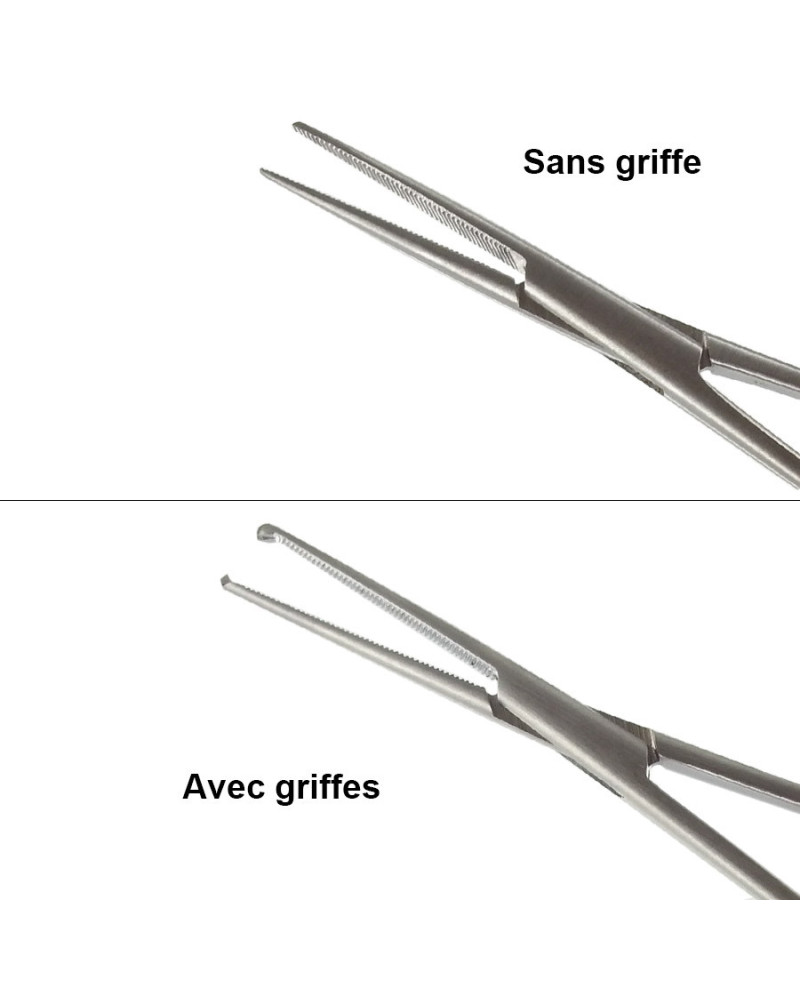 Pince de bengolea, droite avec griffe, 25 cm