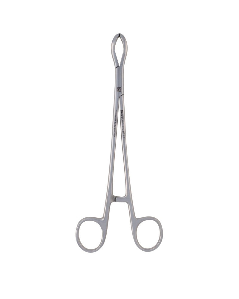 Pince tenaille de PAUCHET 18 cm