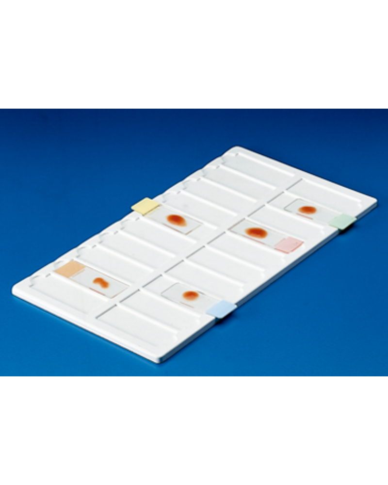 Plaque de présentation p/lames de microscopie PVC