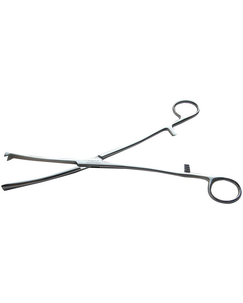 Pince de museux - droite - 25 cm