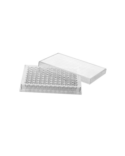 Plaque pour microtitration-Fond U- 96 Puits