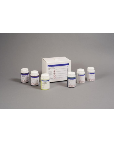 Kit trichrome de MASSON, vert lumière (Appareil digestif)
