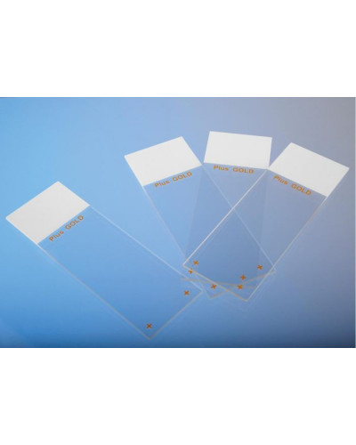 Lames superfrost plus GOLD