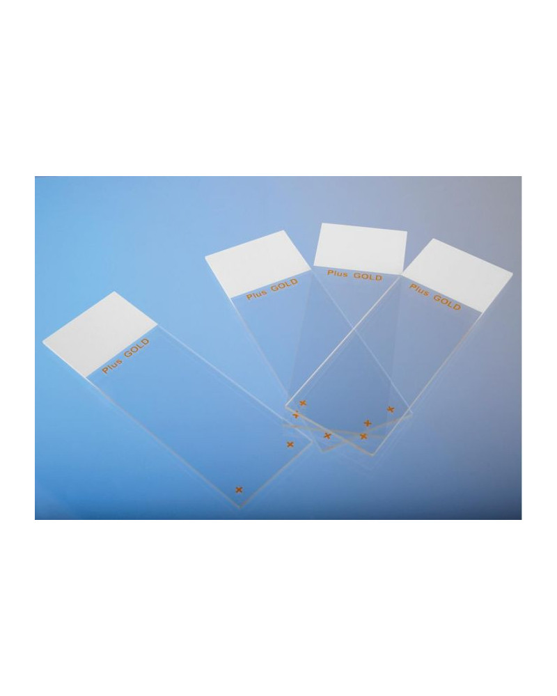 Lames superfrost plus GOLD