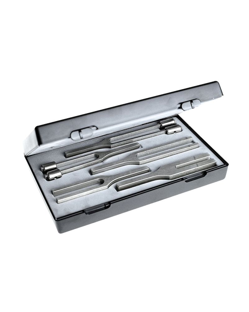 Set L de diapasons en acier RIESTER