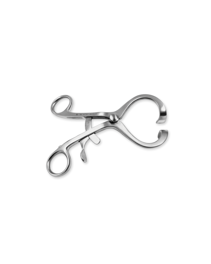 Ouvre bouche de doyen, enfant 11 cm