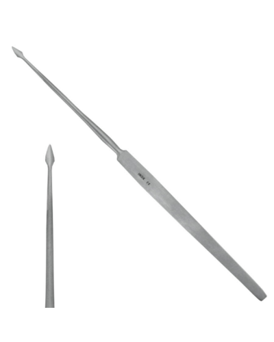 Aiguille de POLITZER, adulte