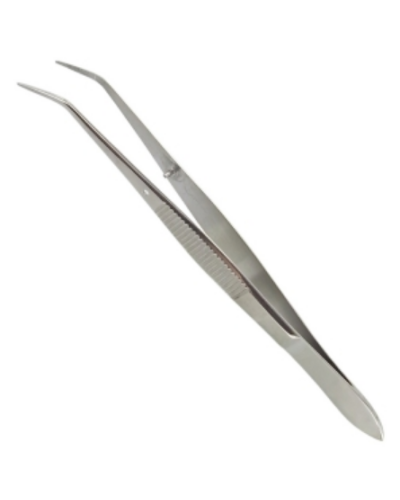 Pince de BRUCELLE, coudée, 13 cm