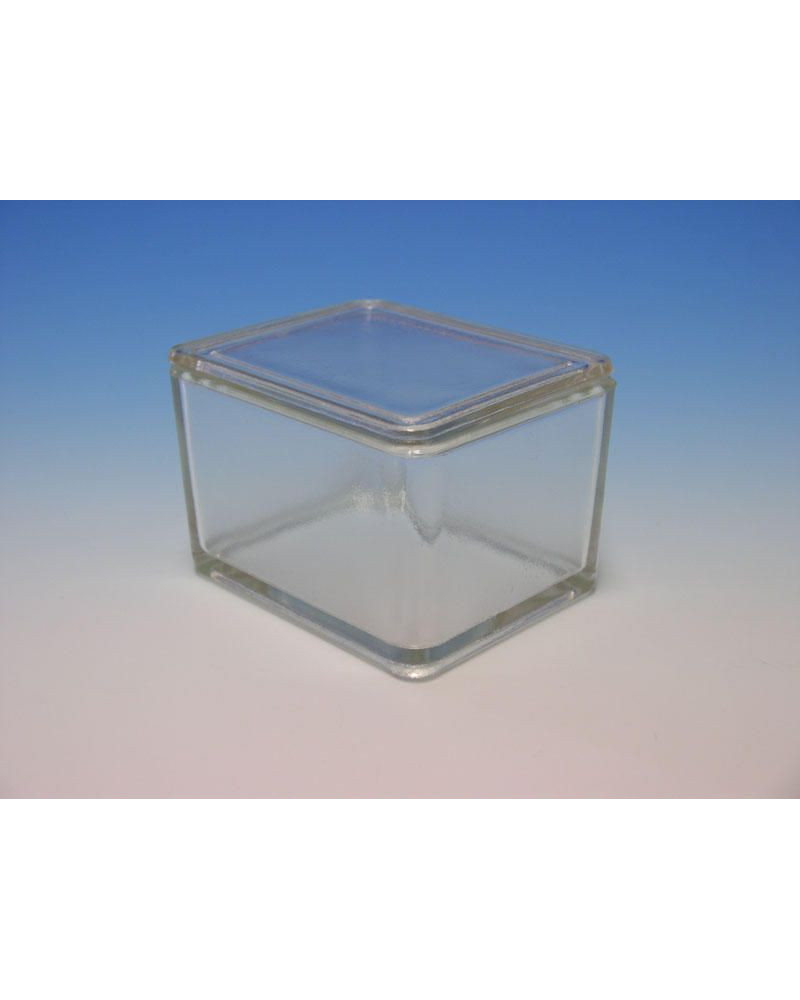 Cuve à  coloration en verre avec couvercle pour 20 lames