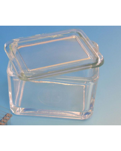 Cuve de coloration en verre avec couvercle