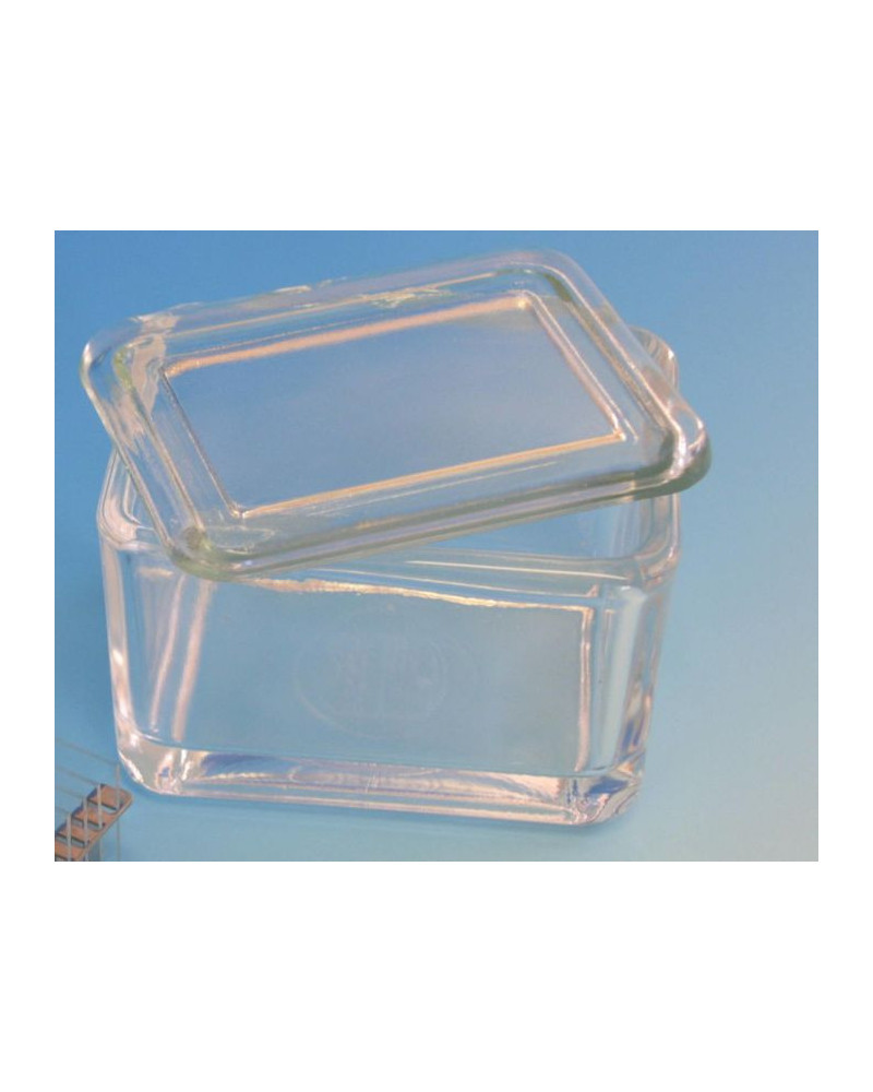 Cuve de coloration en verre avec couvercle