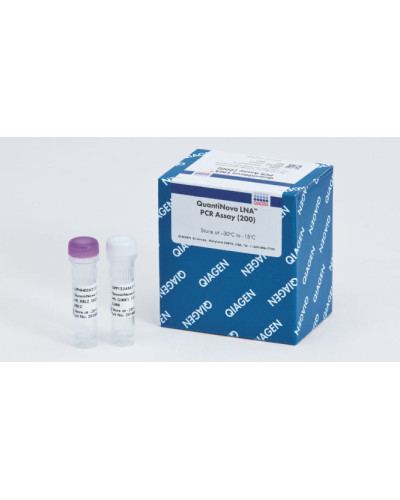 Kit RT-PCR QuantiTect Multiplex (200) QIAGEN