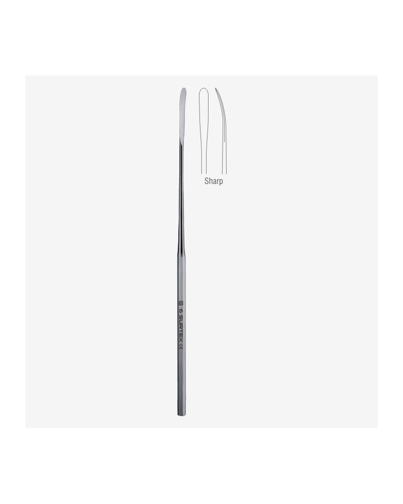Dissecteur SACHS 20 cm, en acier inoxydable