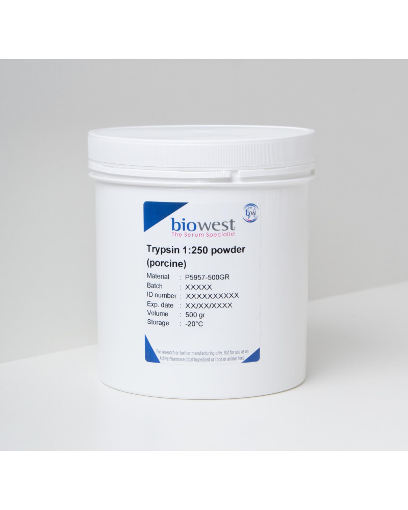 Trypsine de pancréas de porc - 100G