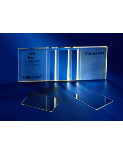 Cellule malassez double