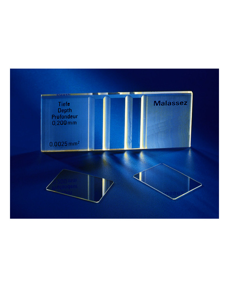 Cellule malassez double