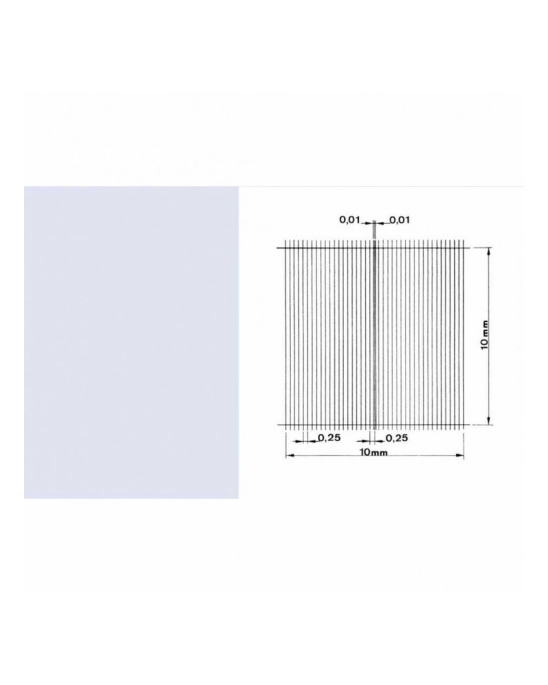 Cellule de numération de nageotte, double quadrillage