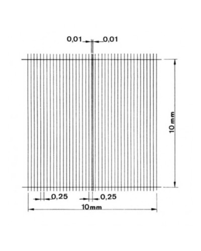 Cellule de numération de nageotte, simple quadrillage