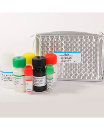Réactifs Elisa Hépatite B Ag