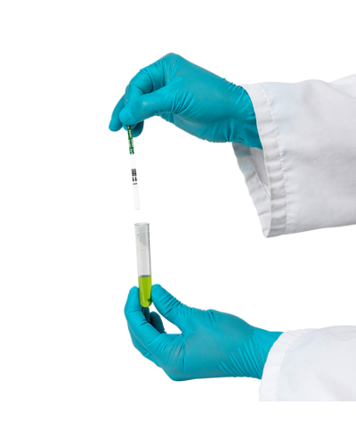 HBsAg bandelette pour test Hépatite B