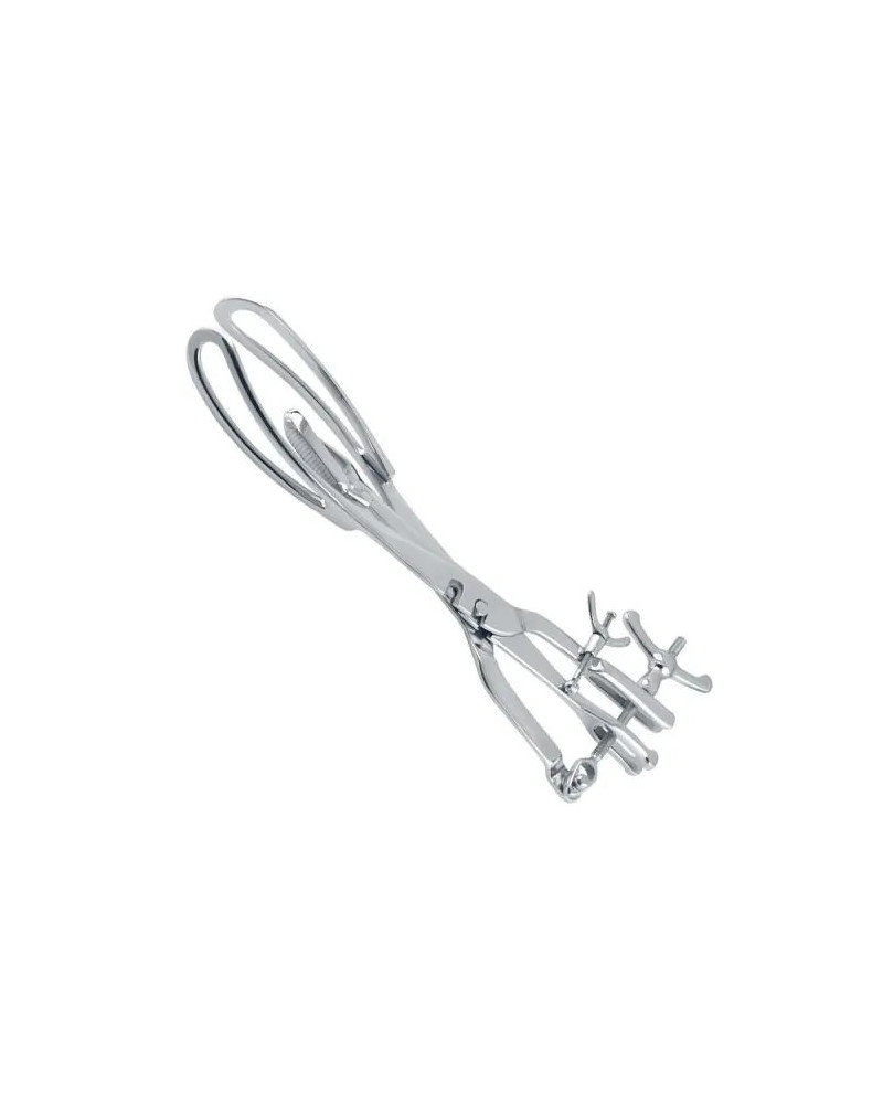 Basiotribe de TARNIER.