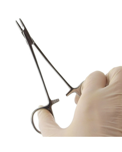 Porte aiguilles de doyen