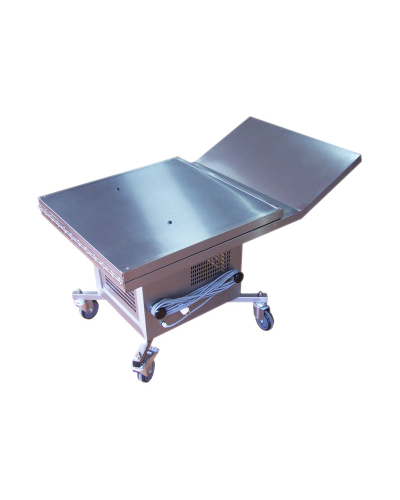 Table funéraire réfrigérée