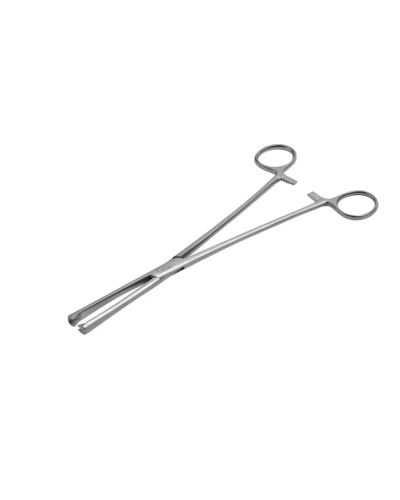 Pince de Museux droite, 18 cm, 7 x 5 mm