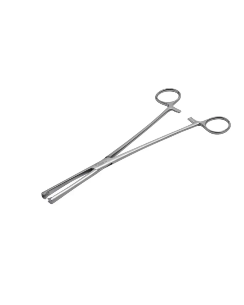 Pince de Museux droite, 18 cm, 7 x 5 mm